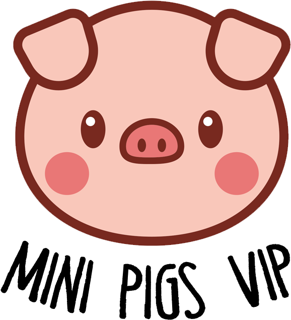 Pig Clip Art Mini Pig - Piggy Cutie - Png Download (800x800), Png Download