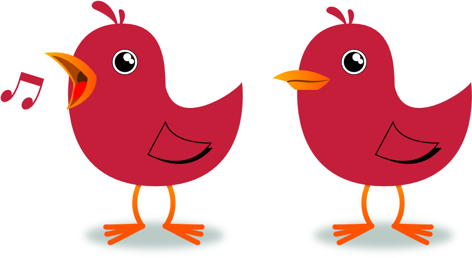 Cardinal Bird Clip Art - Bird Cartoon Gif Png Transparent Png (999x541), Png Download