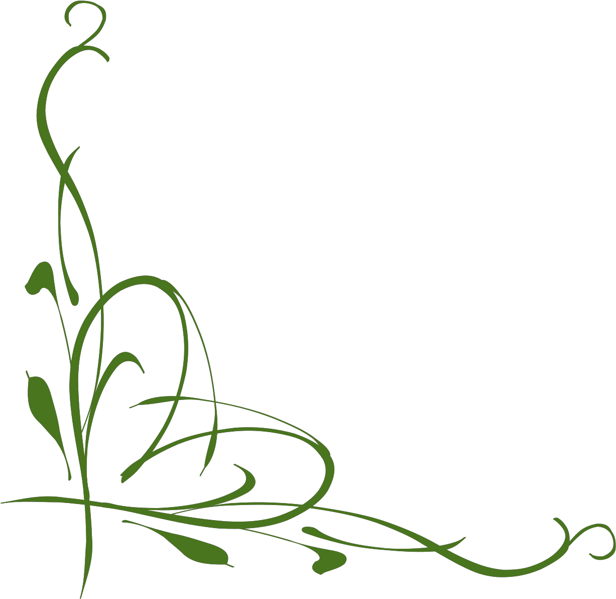 Green Vine Png Clipart (1600x1600), Png Download