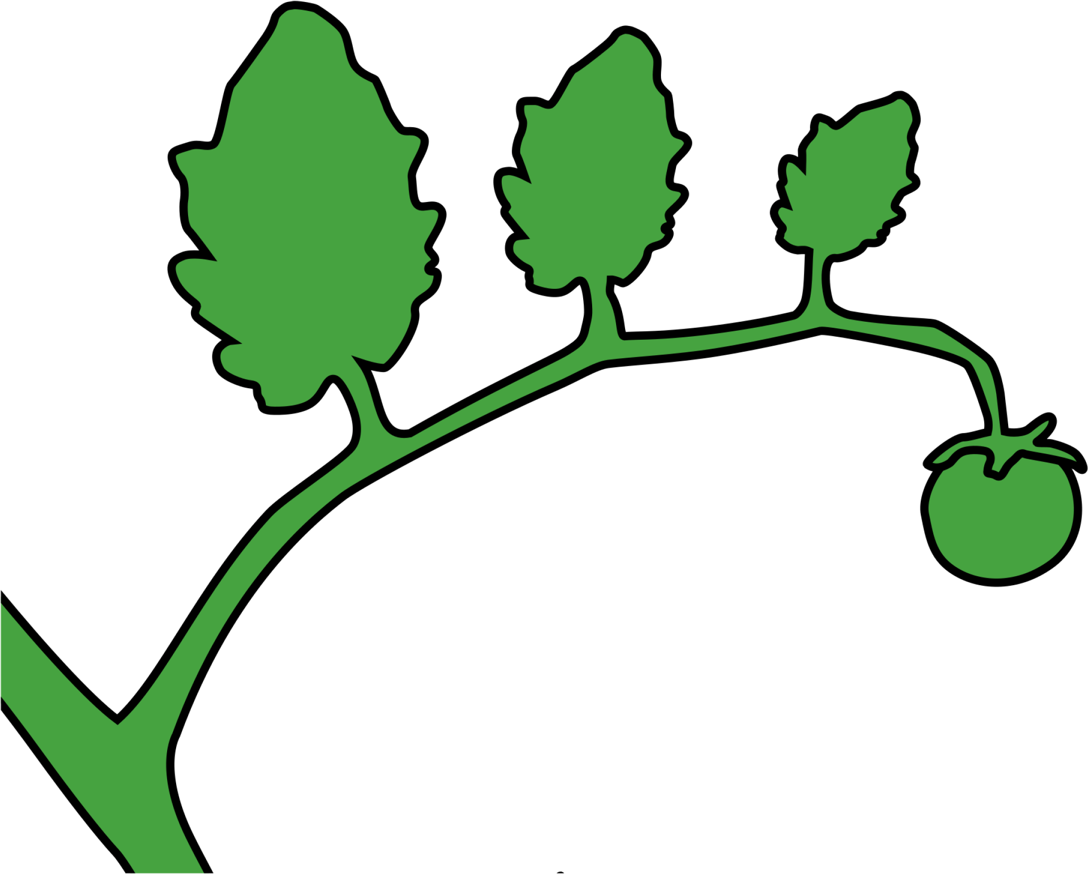 Green Svg Clip Arts - Stem Tomato Clip Art - Png Download (2400x1984), Png Download