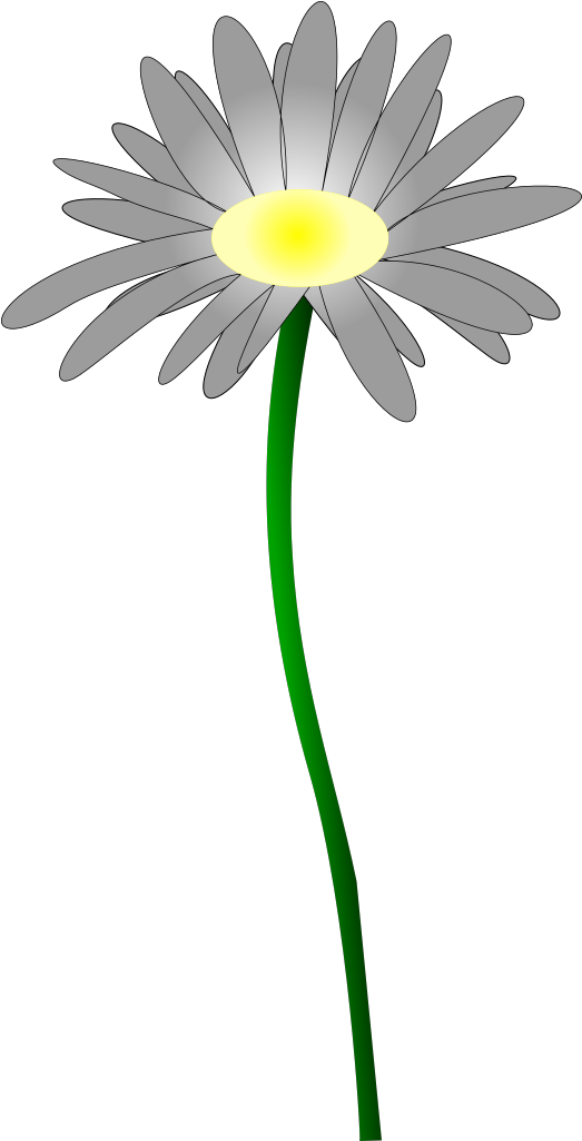Orange-green Daisy Svg Clip Arts - Daisy - Png Download (1024x1024), Png Download