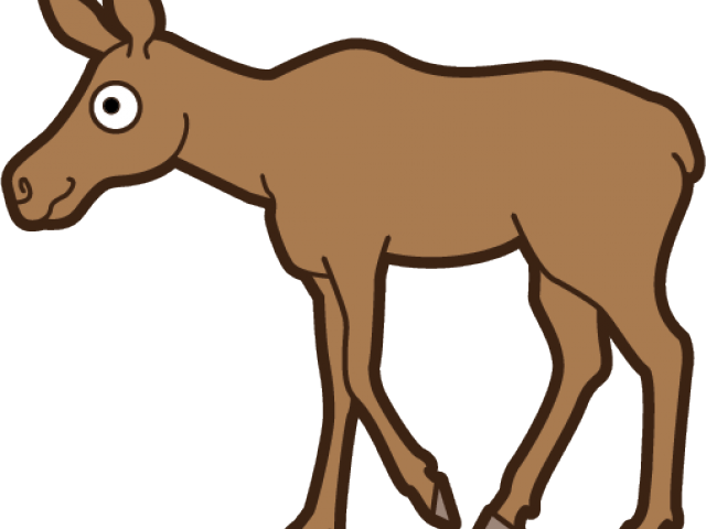 Cartoon Moose Clipart - Png Download (640x480), Png Download
