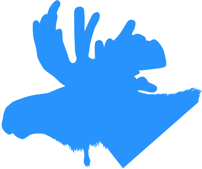 Clip Art - Png Download (800x670), Png Download