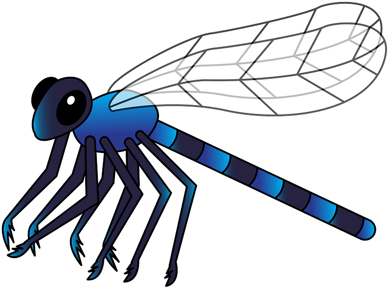Free Download - Dragonfly Clipart - Png Download (690x518), Png Download
