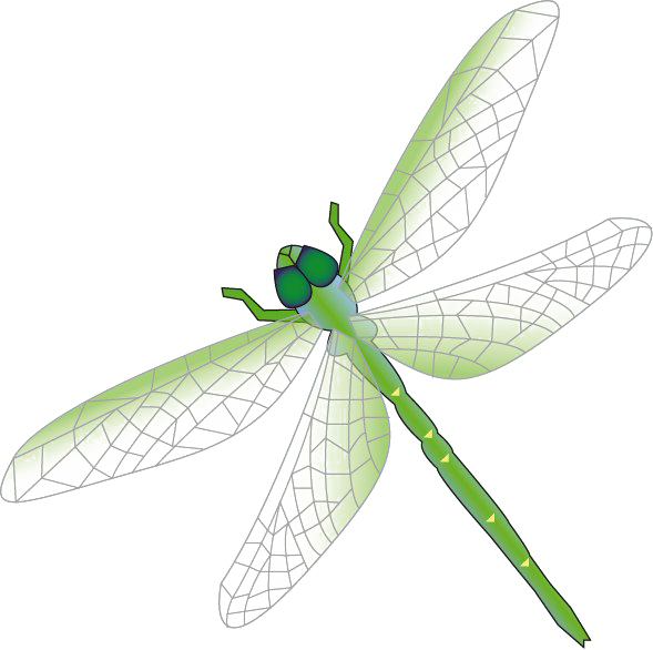 Dragonfly Png Transparent Images, Pictures, Photos - Free Dragonflies Clipart (589x586), Png Download