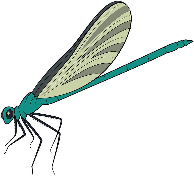 Blue Damselfly Clipart Dragonfly Png Download Full Size Clipart 5213270 Pinclipart