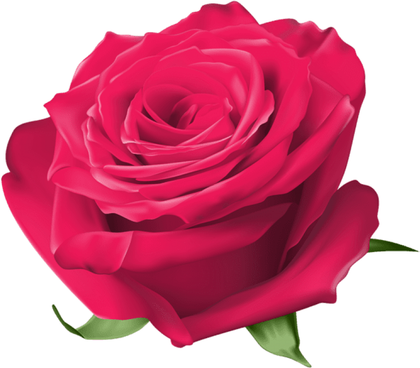 Rose Clip Art - Transparent Background Yellow Rose Clipart - Png Download (850x746), Png Download