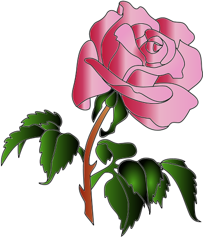 Rose Colors Clip Art - Rose - Png Download (481x800), Png Download