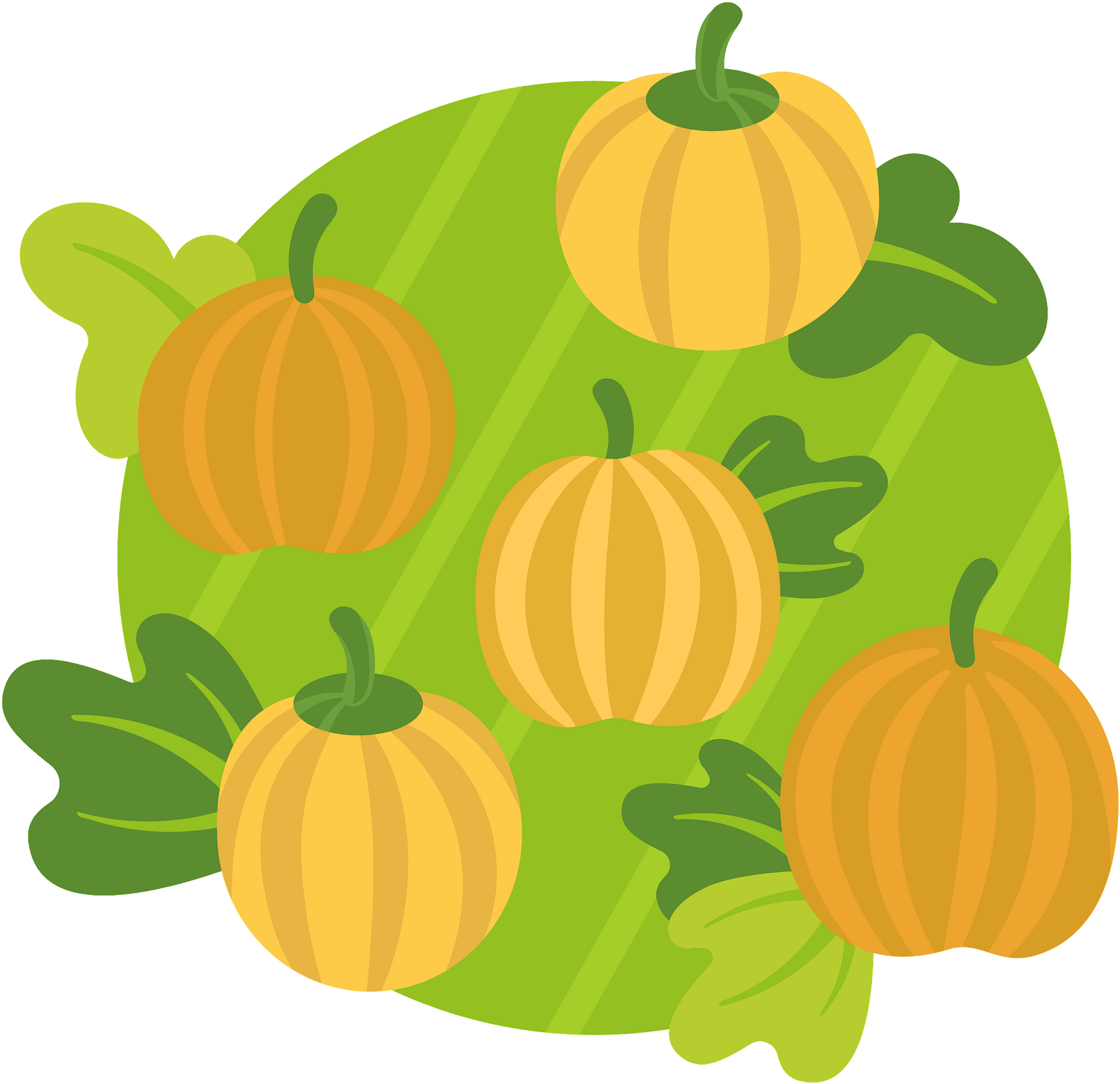 Pumpkin Patch Clipart - Pumpkin - Png Download (800x782), Png Download