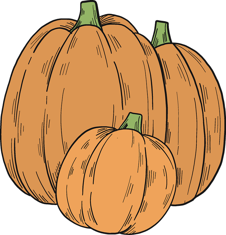Pumpkin Patch Clipart - Pumpkin - Png Download (771x800), Png Download
