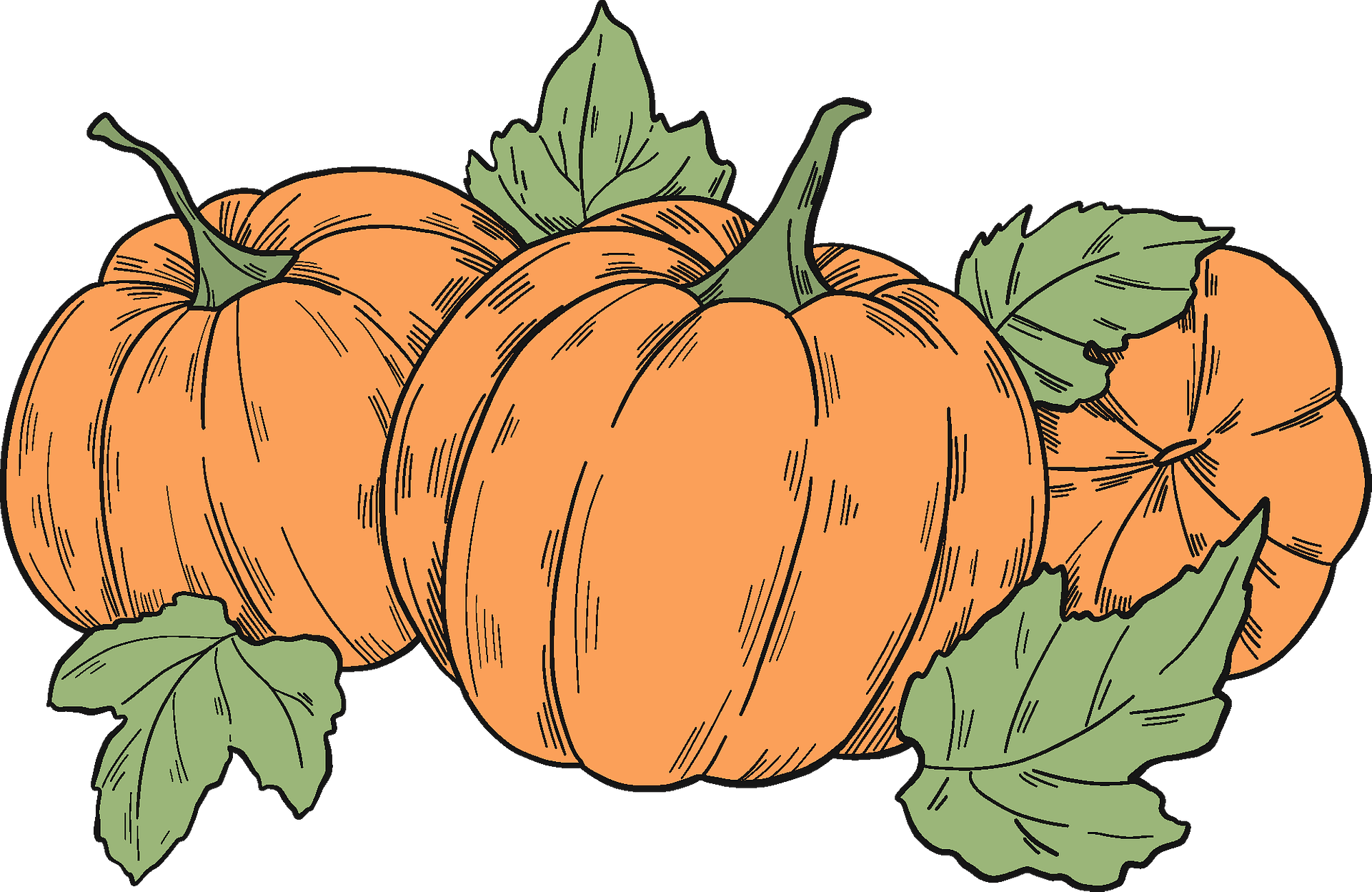 Pumpkin Clipart (1920x1248), Png Download