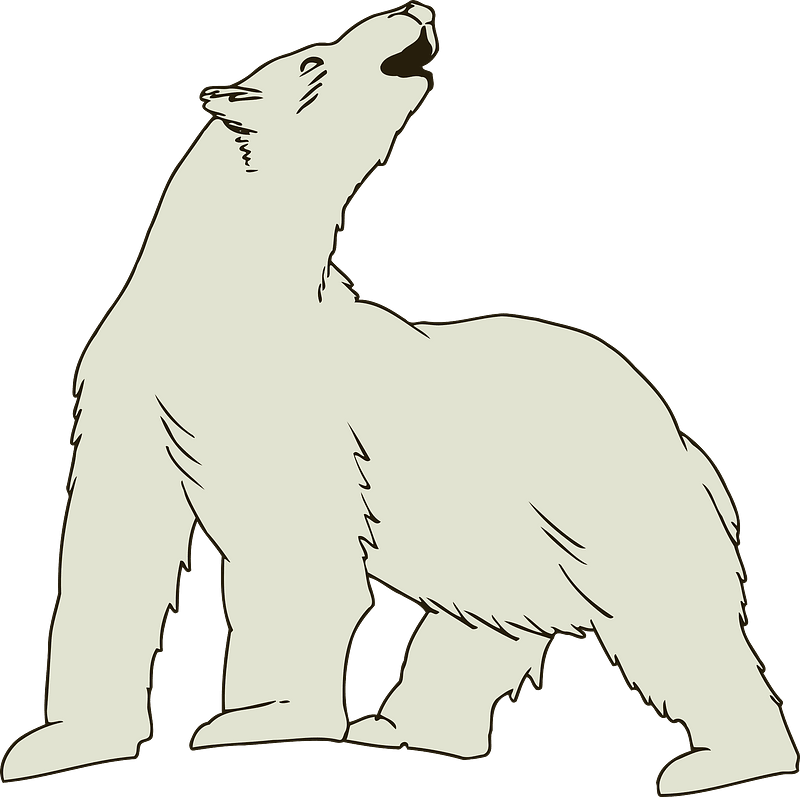 Howling Polar Bear Clipart - Png Download (800x797), Png Download
