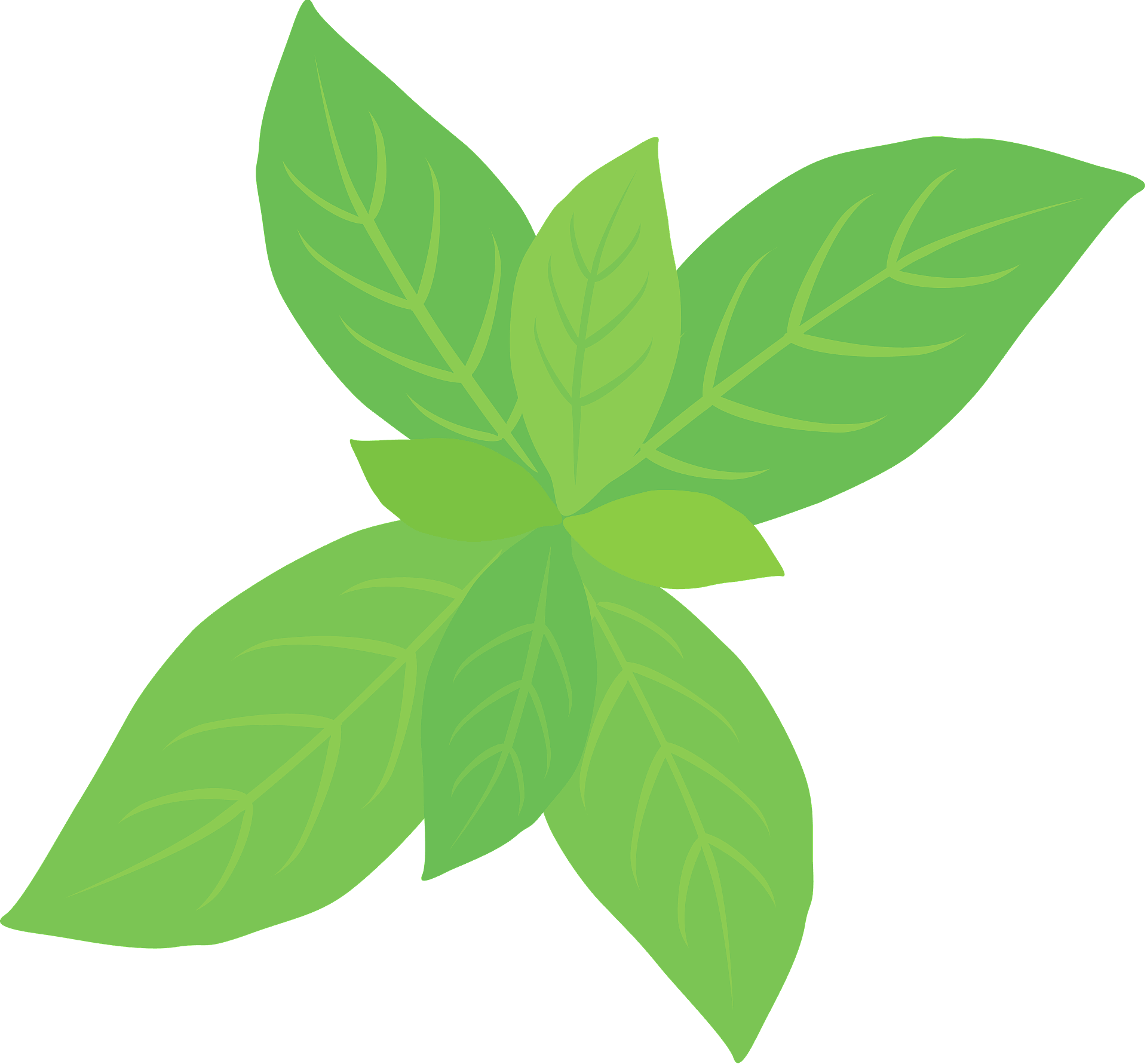 Peppermint Herb Clipart - Png Download (800x742), Png Download