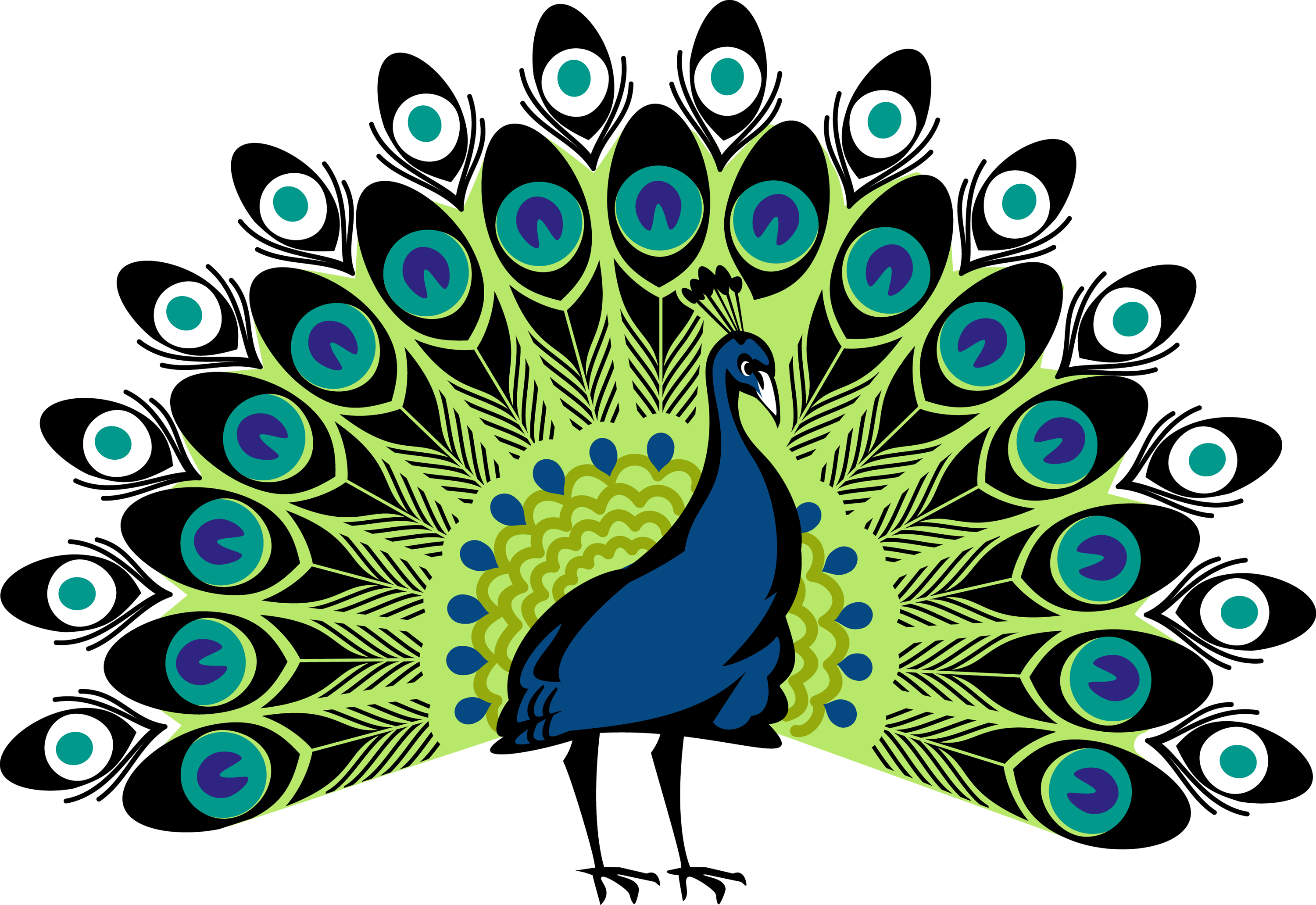 Peafowl Clip Art - Transparent Background Peacock Clipart - Png Download (3000x2063), Png Download