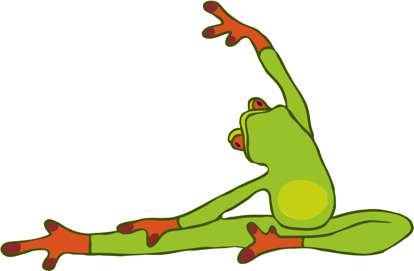Frog Doing Yoga Clip Art - Png Download (1024x768), Png Download