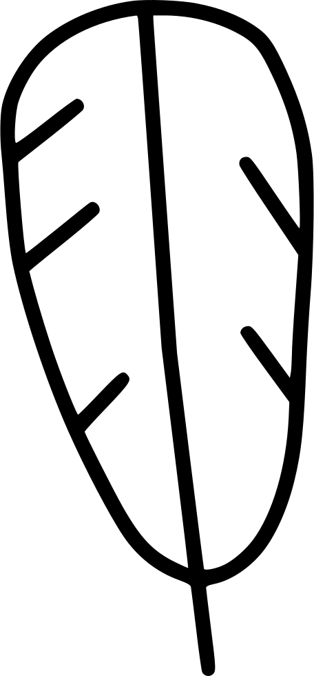 Turkey Native American Svg - Black And White Turkey Feather Clip Art - Png Download (456x980), Png Download