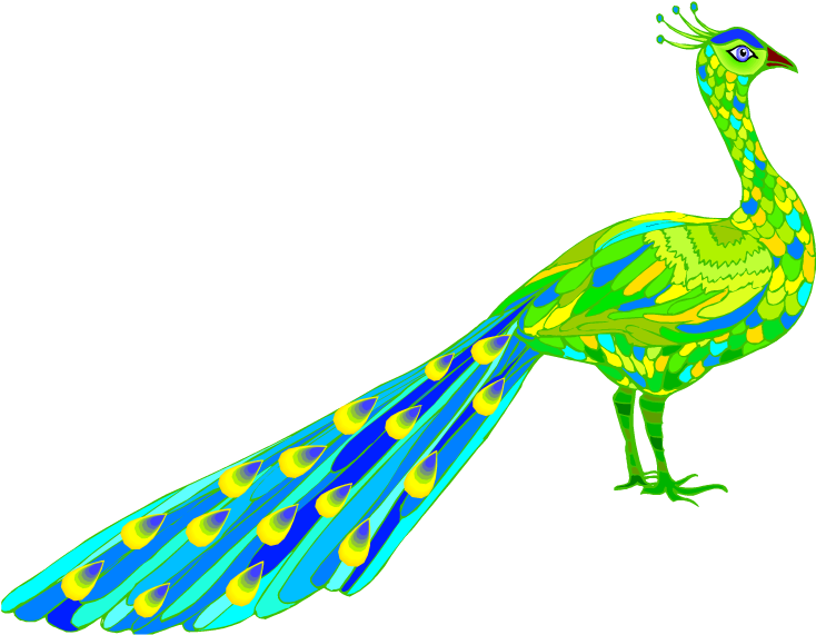 Peacock Clip Art Download - Peacock Drawing Side View - Png Download (750x583), Png Download