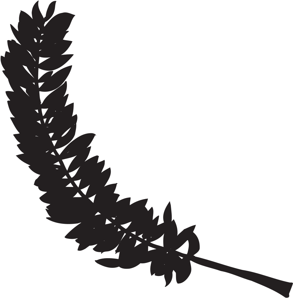 Feather Silhouette Svg Clip Arts - Png ดำ Transparent Png (1024x1024), Png Download