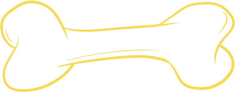 Clip Art - Png Download (878x387), Png Download