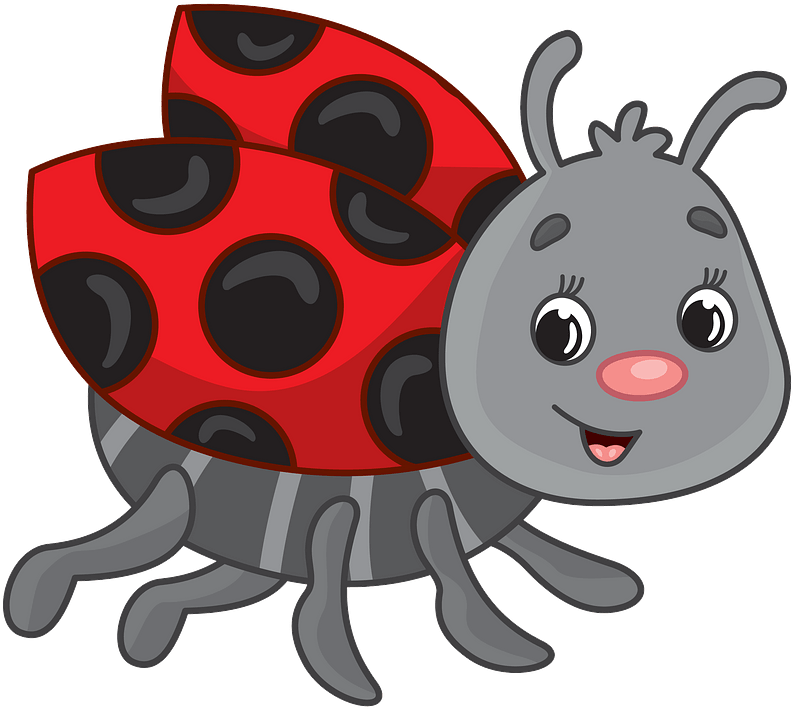 Ladybug Clipart - Laqdy Bug Clipart - Png Download (800x712), Png Download