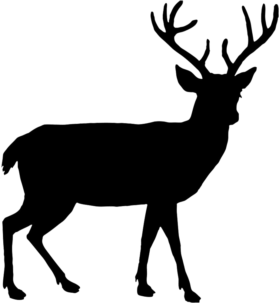 White-tailed Deer Elk Moose Clip Art - Clip Art Deer Png Transparent Png (1004x1049), Png Download