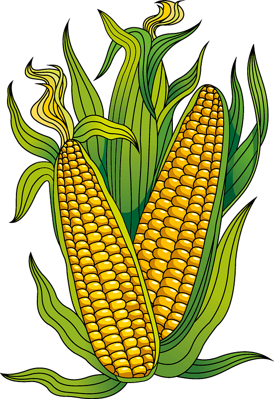 Download Corn Clipart - Corn Kernels - Png Download (#5216558) - PinClipart