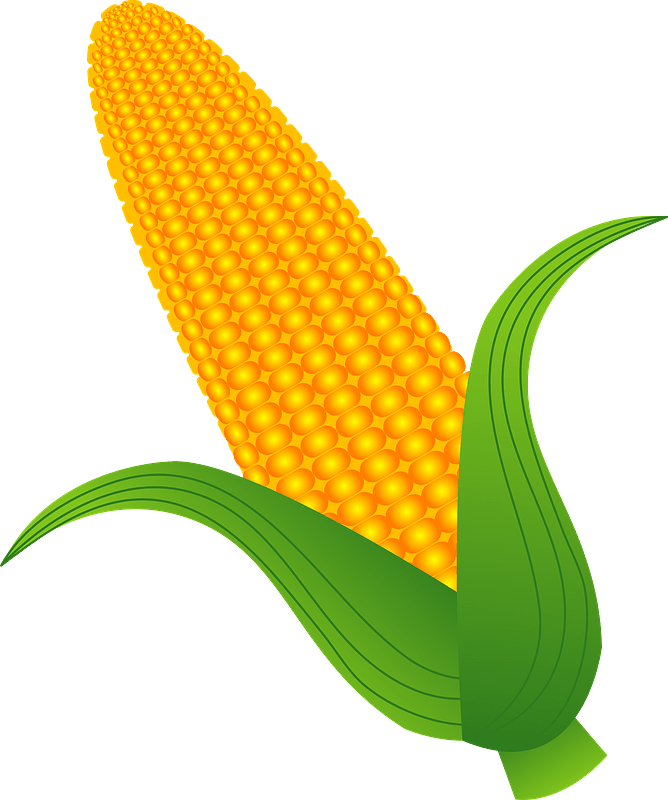 Corn Vegetable Clipart Illustration Png Download Full Size