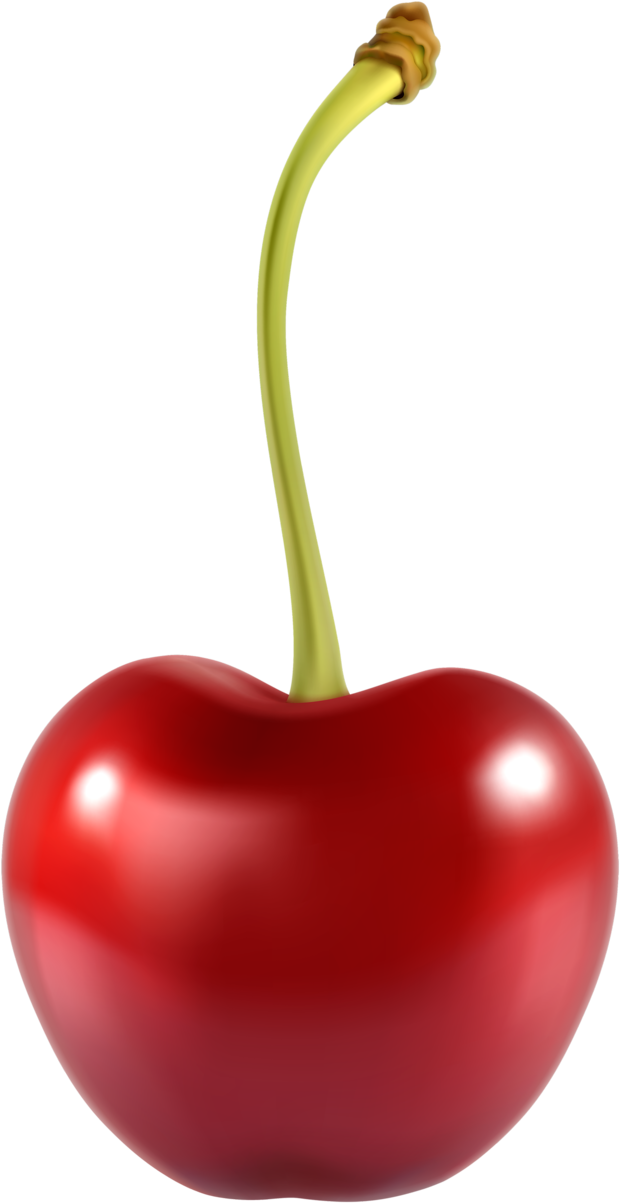 Transparent Fruit And Vegetable Png - Cherry Clipart (620x1203), Png Download