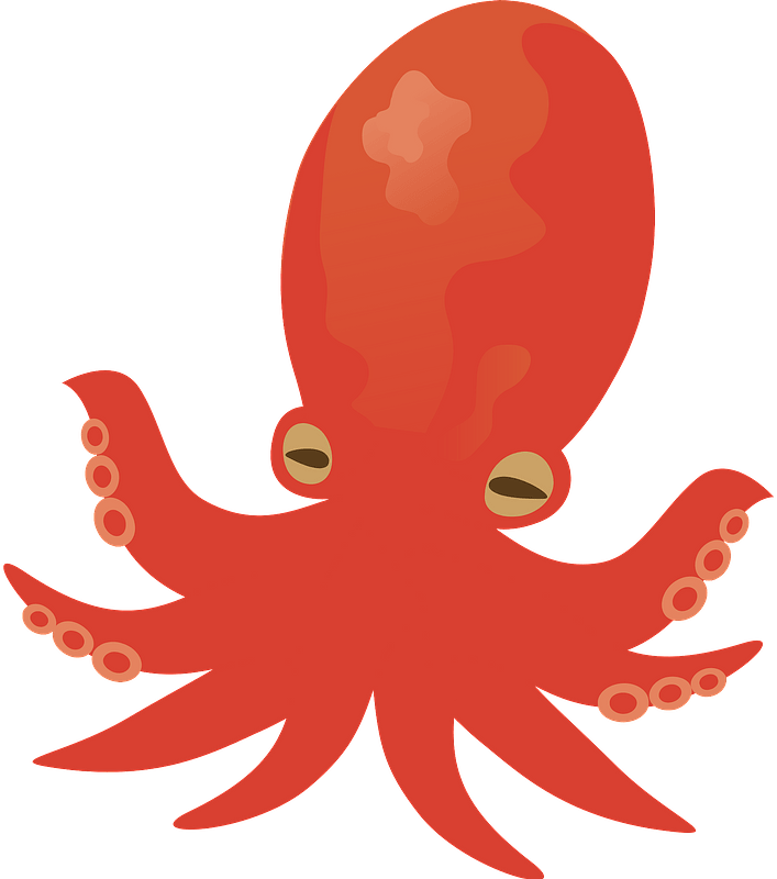 Octopus Animal Clipart - Illustration - Png Download (707x800), Png Download