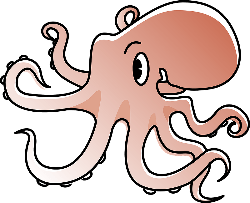 Octopus Animal Clipart - Clip Art - Png Download (800x649), Png Download