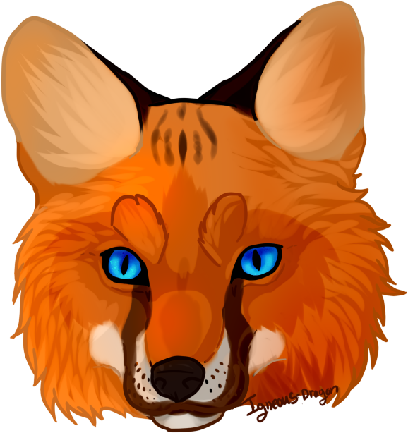Thumb Image - Fox Face Clipart - Png Download (599x635), Png Download