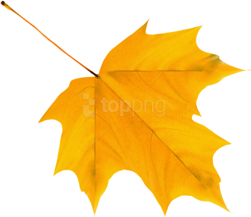 Free Png Download Yellow Autumn Leaf Clipart Png Photo Yellow Fall