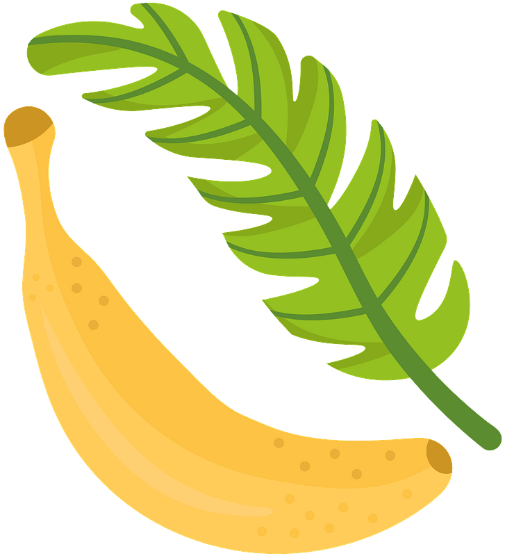 Banana Clipart - Png Download (727x800), Png Download