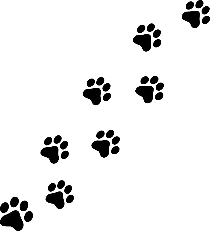 Paw Print Clip Art - Cat Paw Prints Clipart - Png Download (726x800), Png Download