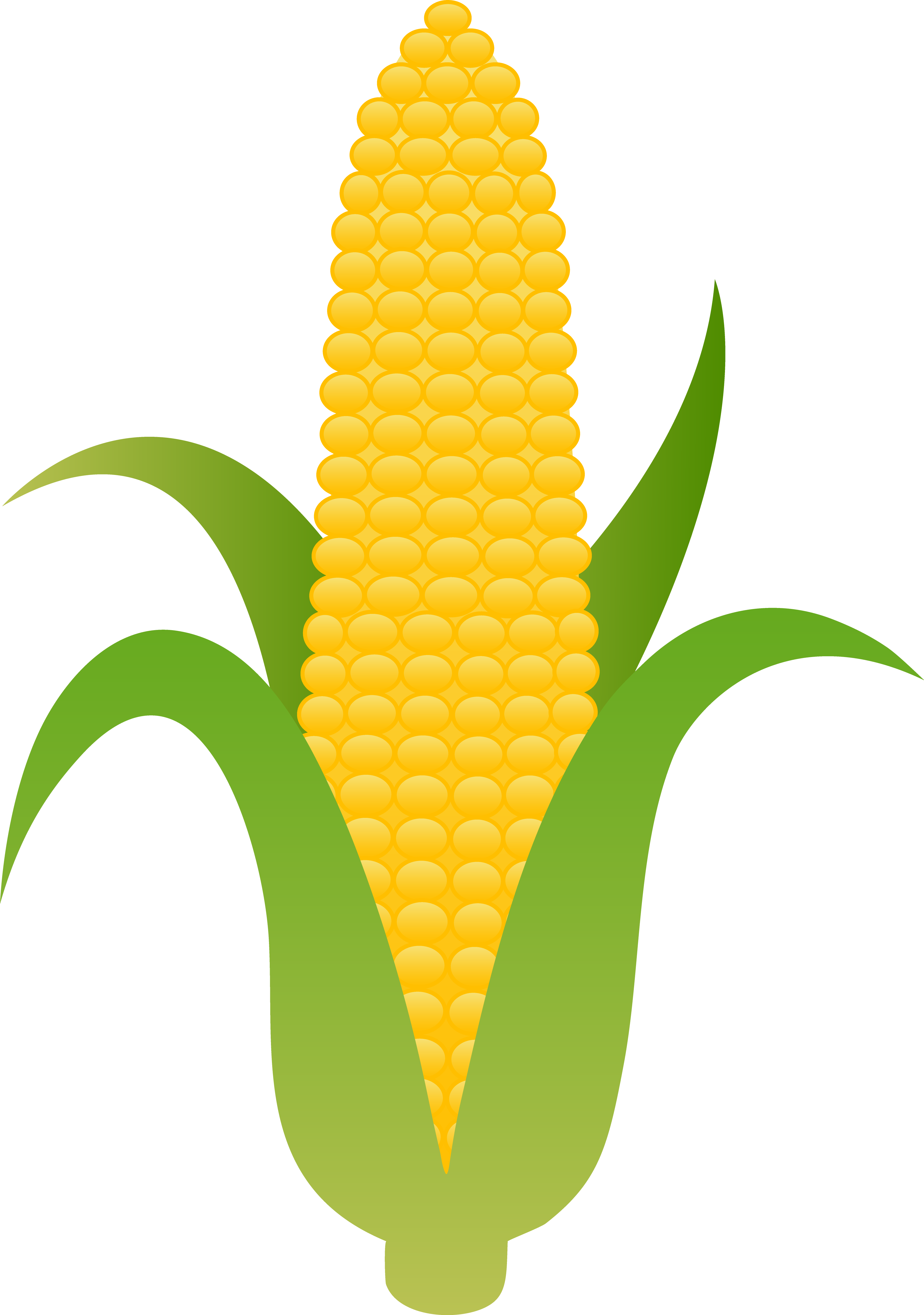 Corn Clip Art - Png Download (3751x5338), Png Download