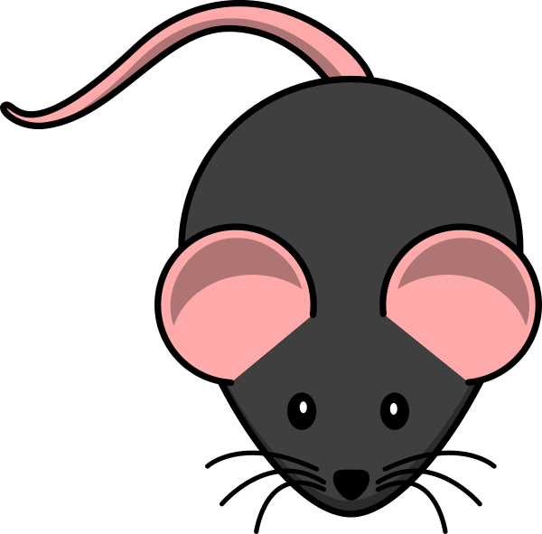 Transparent Background Rat Clipart - Png Download (600x591), Png Download
