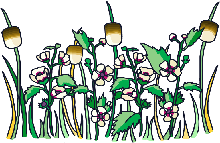 Crackdown Clipart Thanksgiving - Png Download (800x529), Png Download