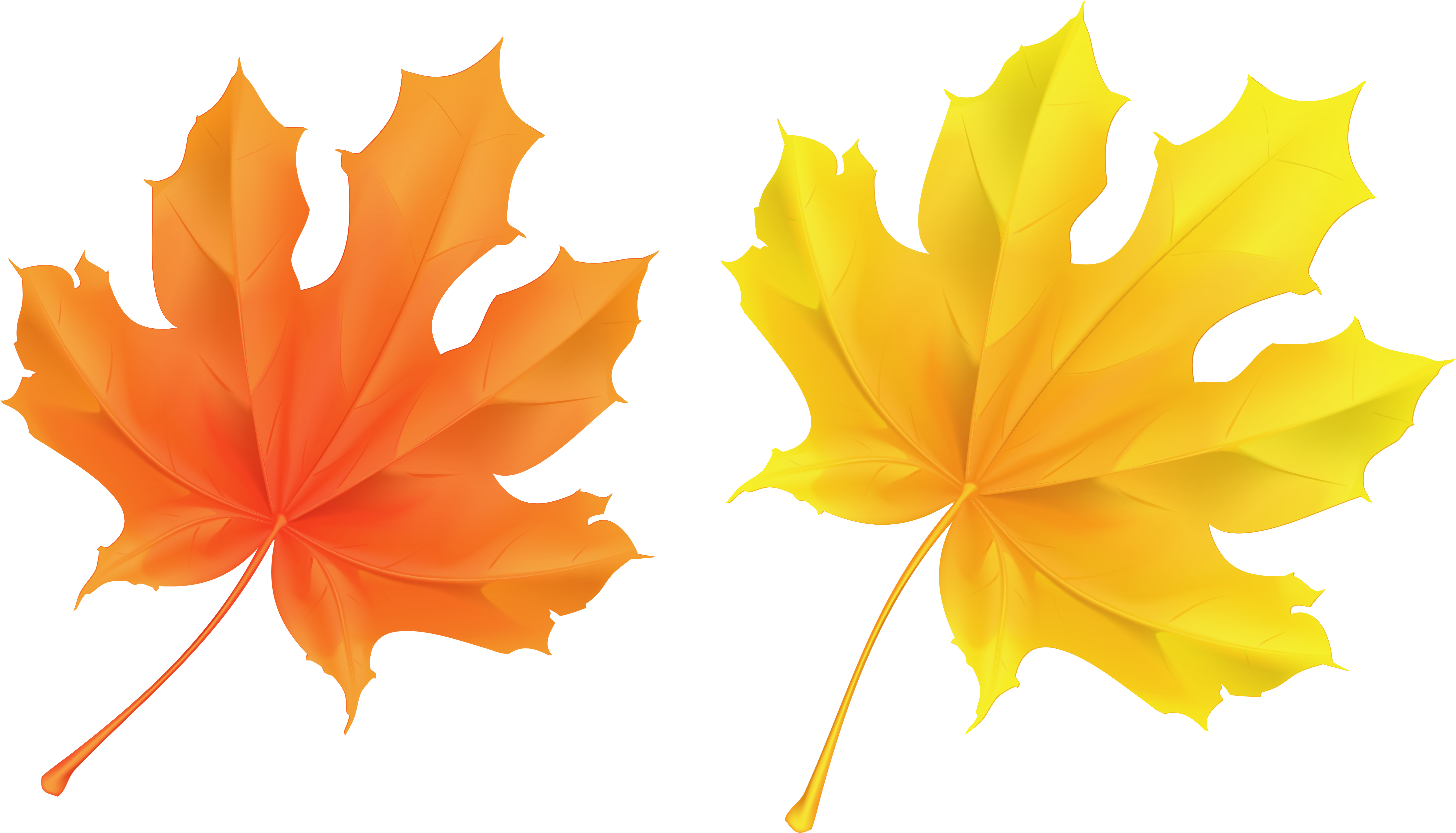 Fall Leaf Clipart No Background - Transparent Background Fall Leaf Clipart - Png Download (5829x3336), Png Download