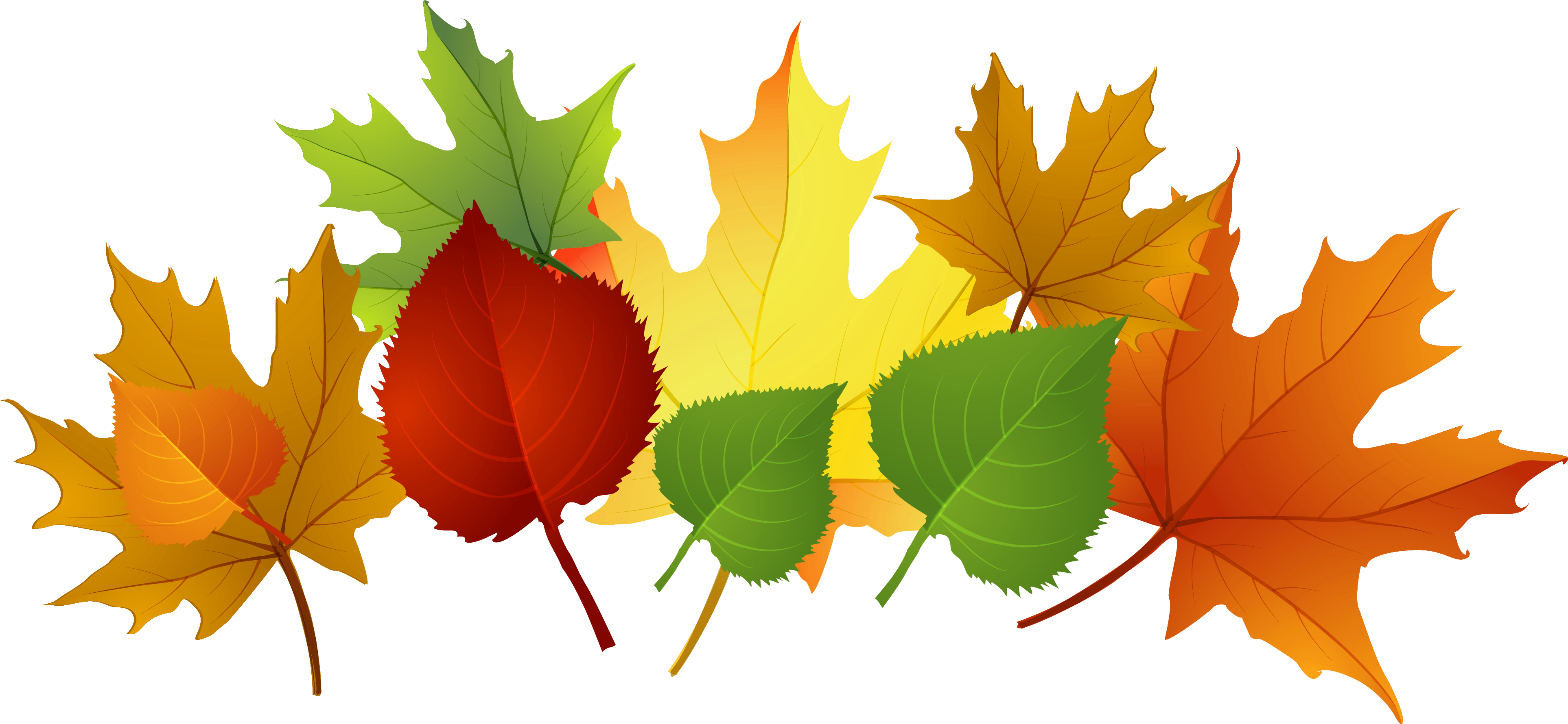 Fall Leaf Clip Art Free Cliparts That You Can Download - Autumn - Png Download (3853x1781), Png Download