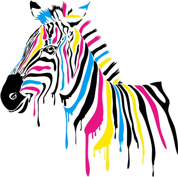 Color Graphic Design Transprent - Sticker Murale Colorée Clipart (1026x969), Png Download