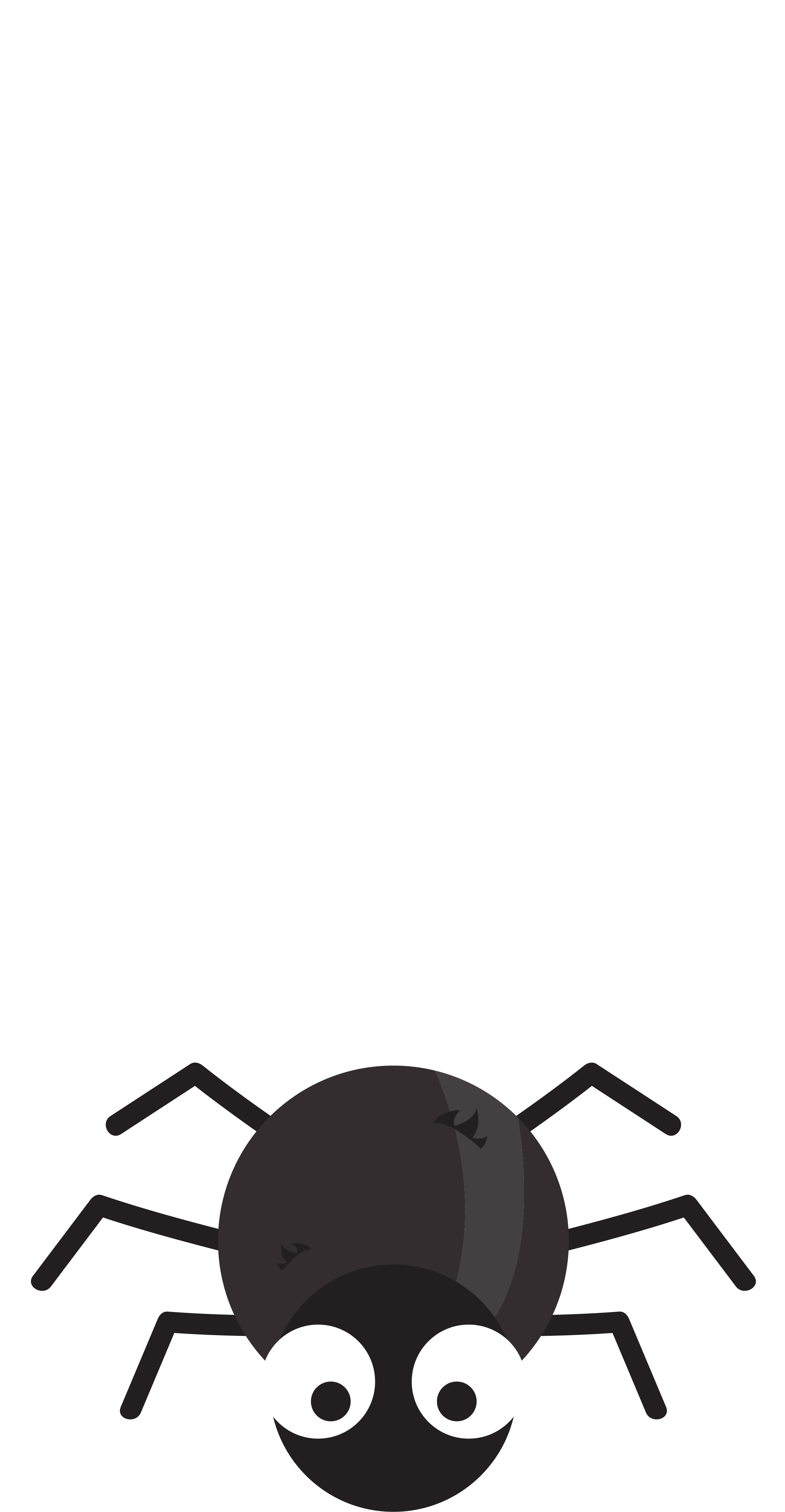 Spider Web Black House Spider - 蜘蛛 卡通 Clipart (2211x4257), Png Download