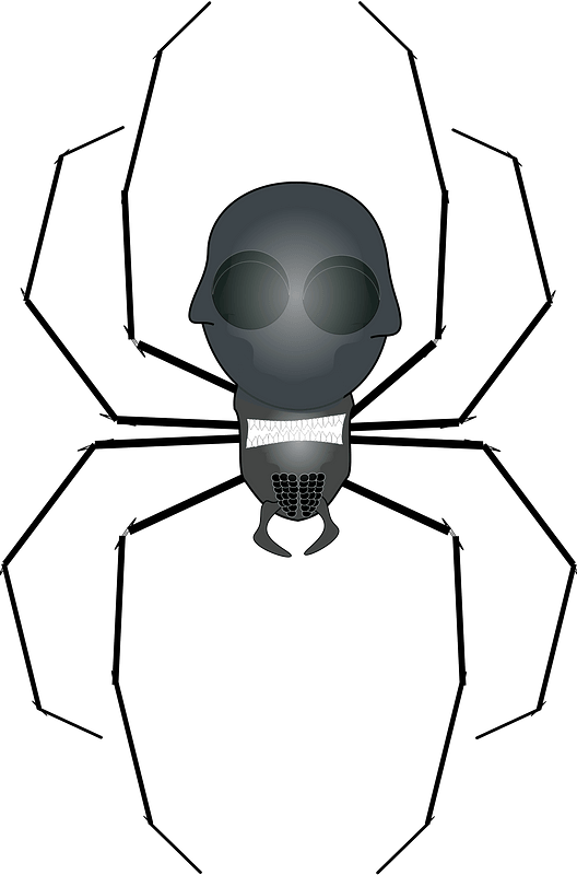 Line Art,head,human Behavior - Spider Clip Art - Png Download (497x750), Png Download