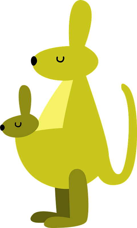 Kangaroos Animal Clipart - Cartoon - Png Download (481x800), Png Download