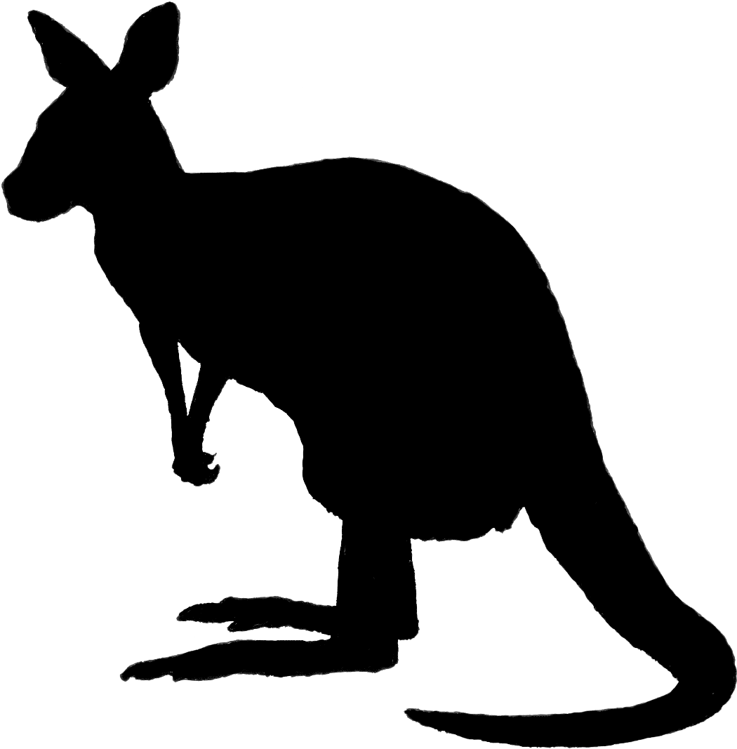 Transparent Kangaroo Cartoon Png - Kangaroo Silhouette Png Clipart (1050x1067), Png Download
