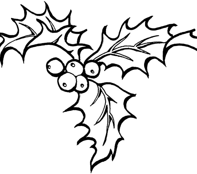 Christmas Coloring Pages Holly Clipart , Png Download - Christmas Coloring Pages Holly Transparent Png (678x598), Png Download