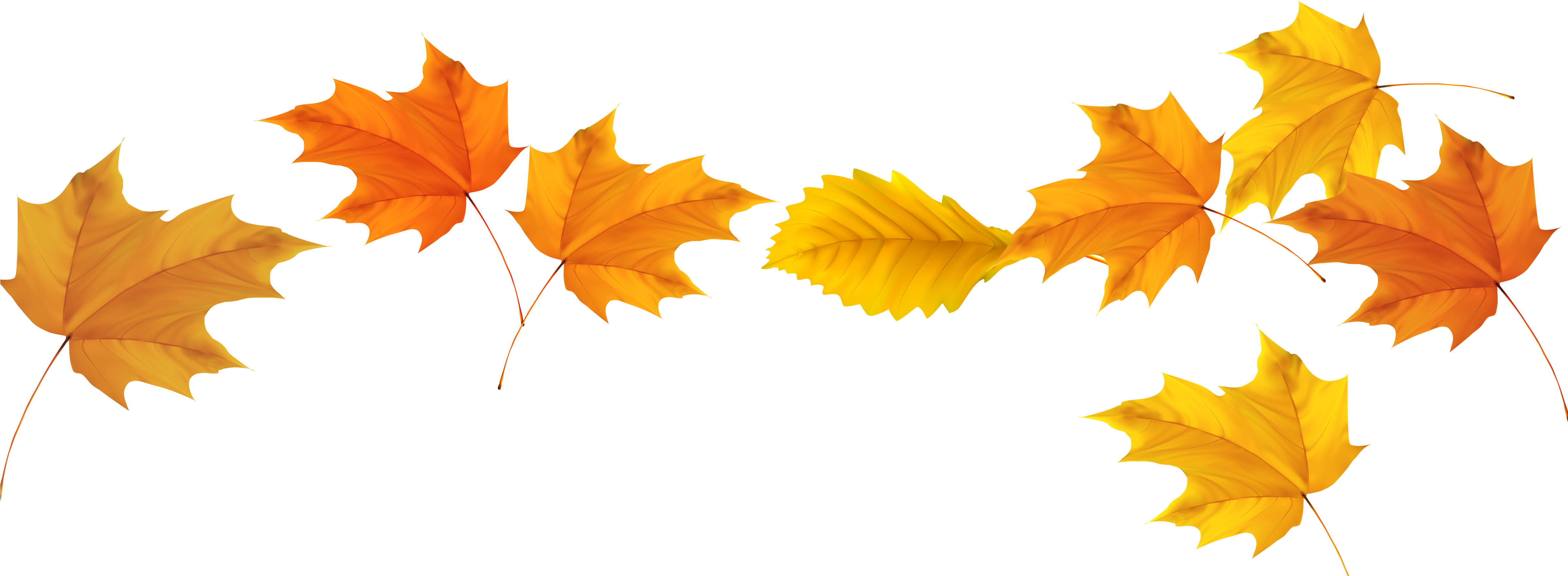 Transparent Autumn Leaves Png Clipart (4792x1784), Png Download