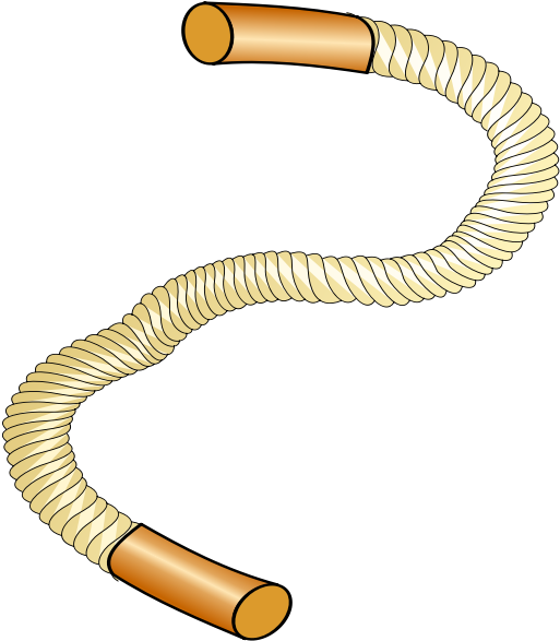 Thick Sports Rope Vector Image - Robe Cliparts - Png Download (600x600), Png Download