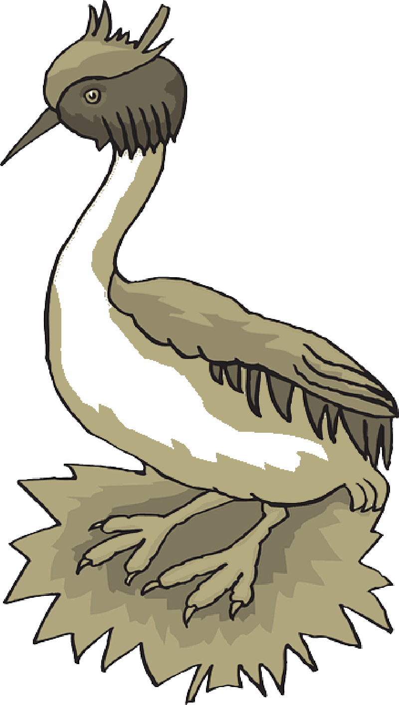 Bird, Grass, Wings, Grebe, Animal, Feathers, Species - Goose Clipart (800x1414), Png Download