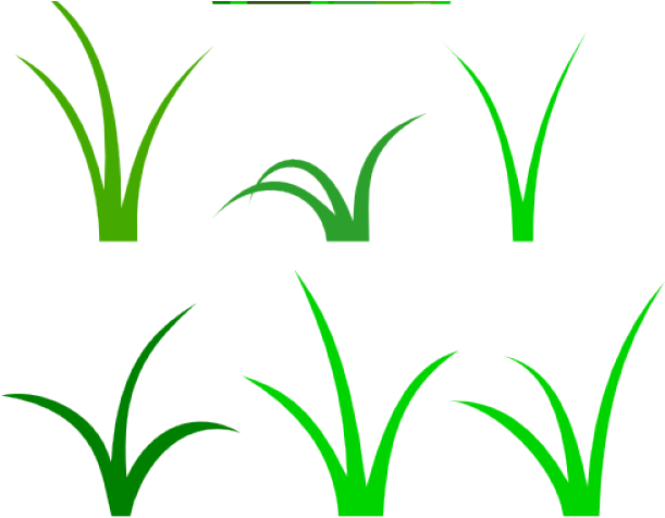 Grass Vector Clipart (640x480), Png Download