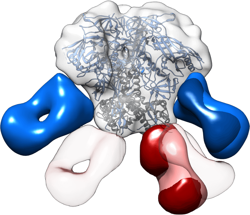 Clip Art - Png Download (796x686), Png Download